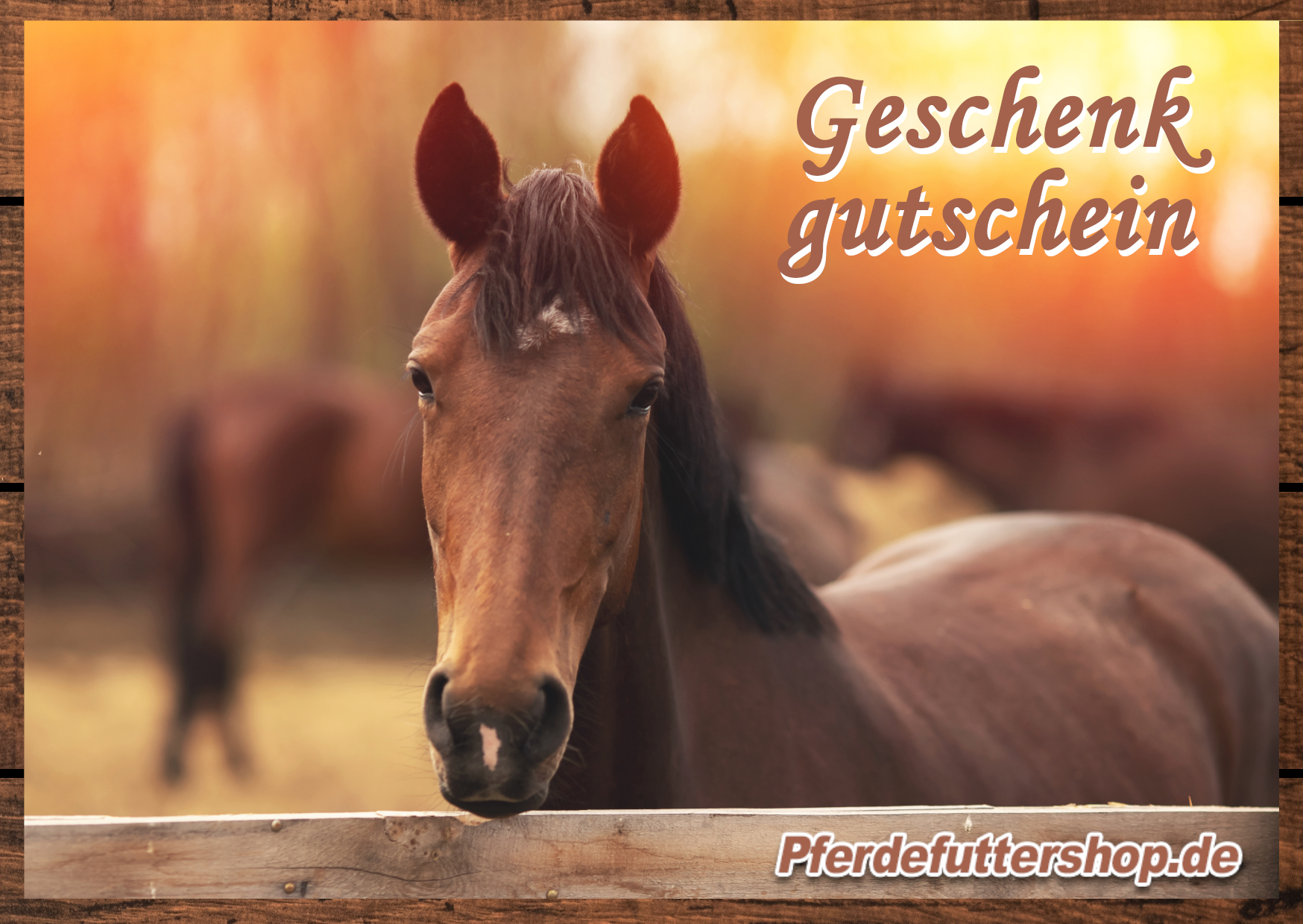 Geschenkgutschein 50,- €