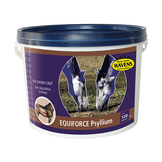 Havens Equiforce Psyllium