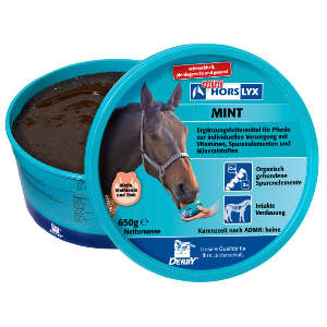 Derby Horslyx Mint