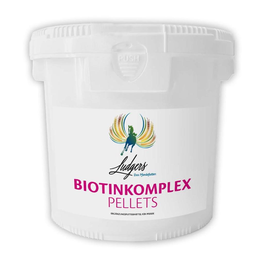 Ludgers N Biotinkomplex Pellet