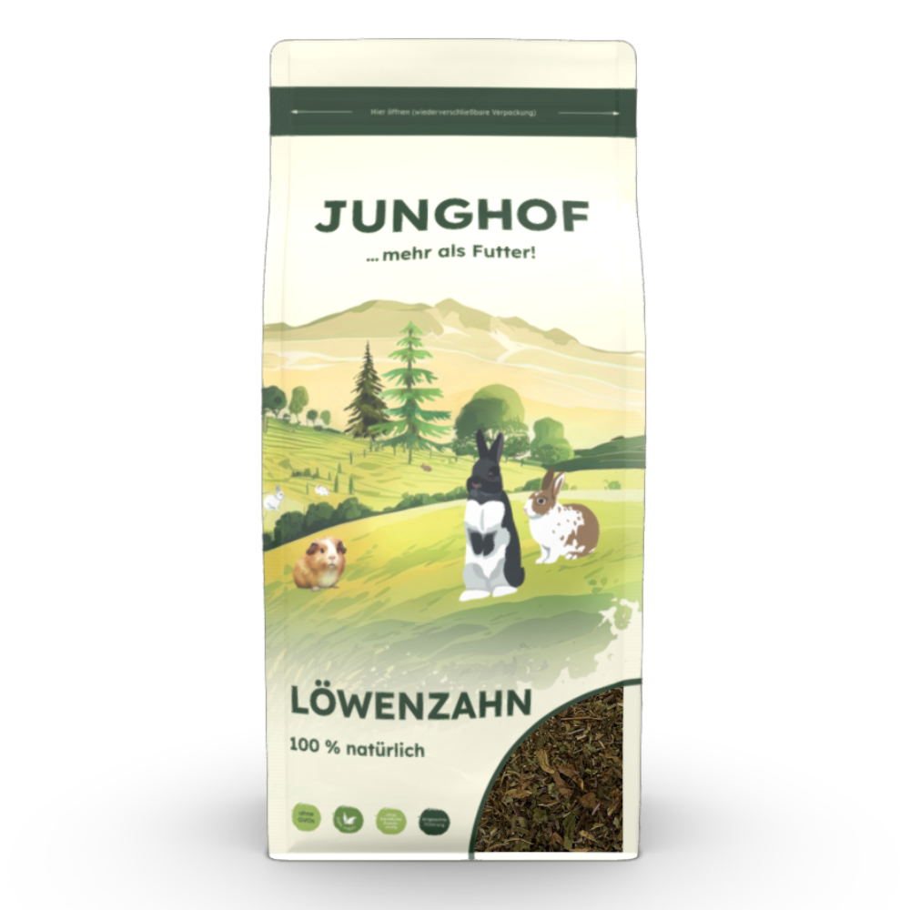 Junghof Löwenzahn