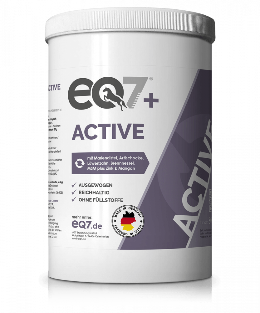 eQ7+ Active 