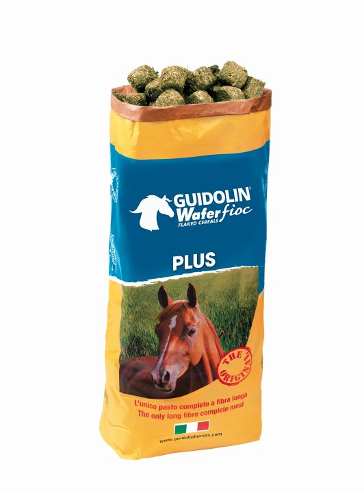 Guidolin Wafer Fioc Plus 